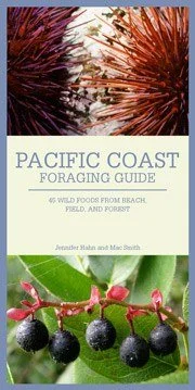 Camping hiking outdoor kick-PACIFIC COAST FORAGING GUIDE